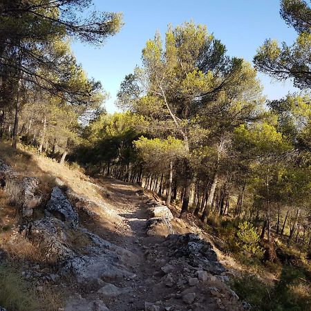 Apartamentos Rurales La Dehesa Del Acebuche Jaén Eksteriør bilde