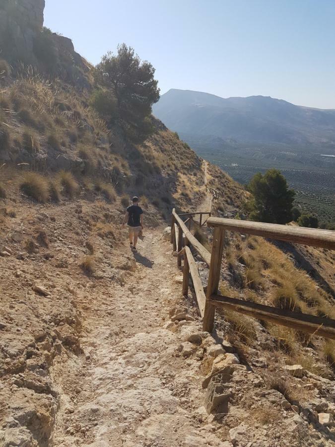 Apartamentos Rurales La Dehesa Del Acebuche Jaén Eksteriør bilde