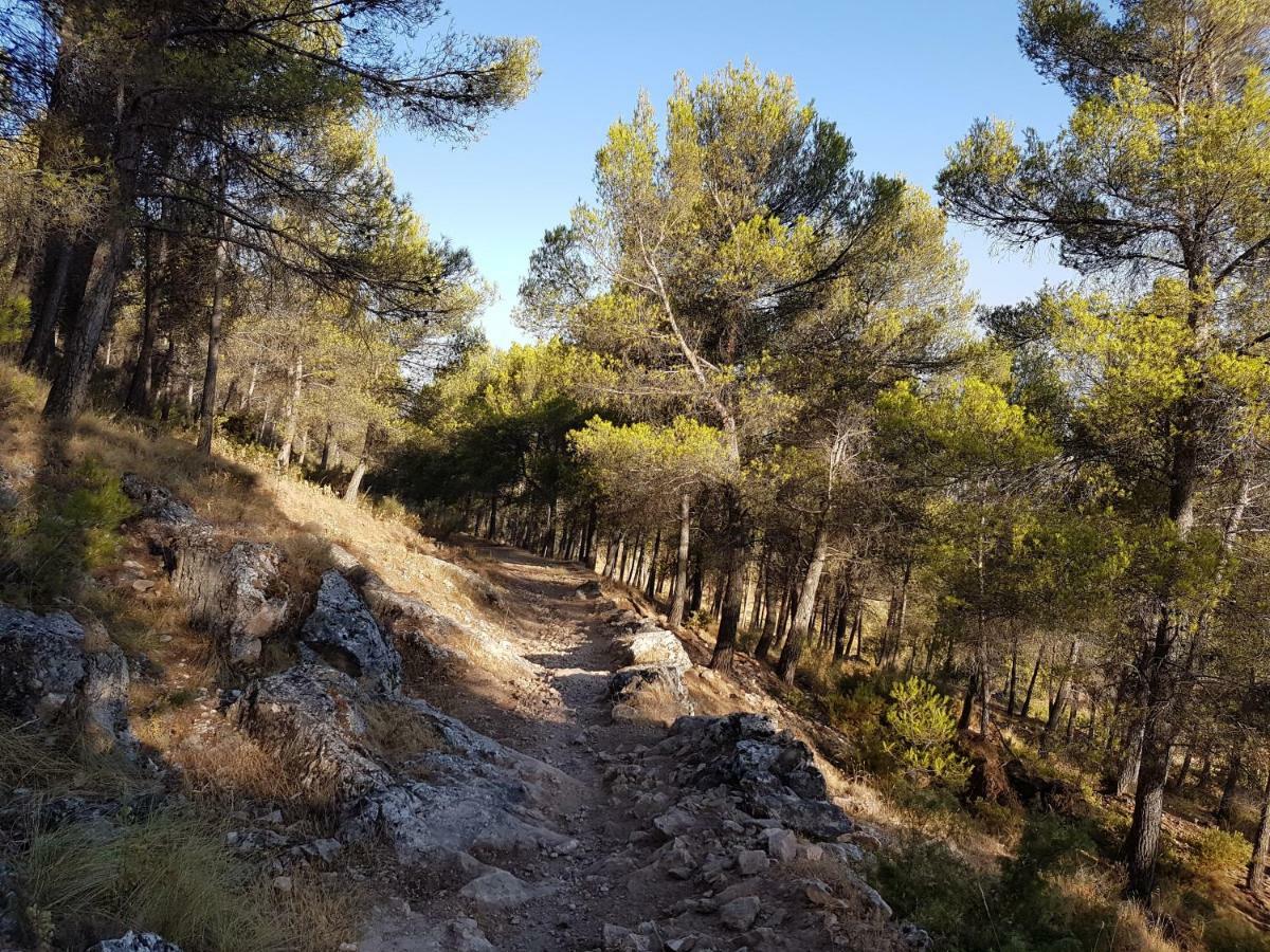 Apartamentos Rurales La Dehesa Del Acebuche Jaén Eksteriør bilde