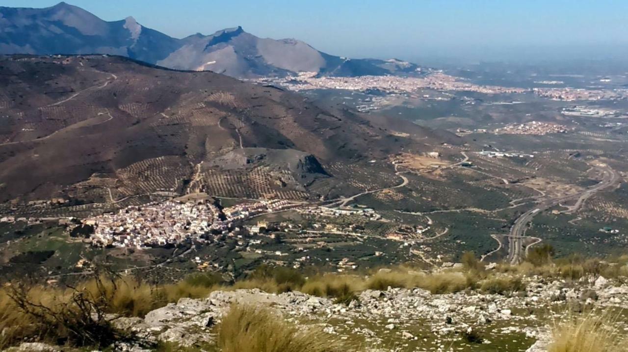 Apartamentos Rurales La Dehesa Del Acebuche Jaén Eksteriør bilde