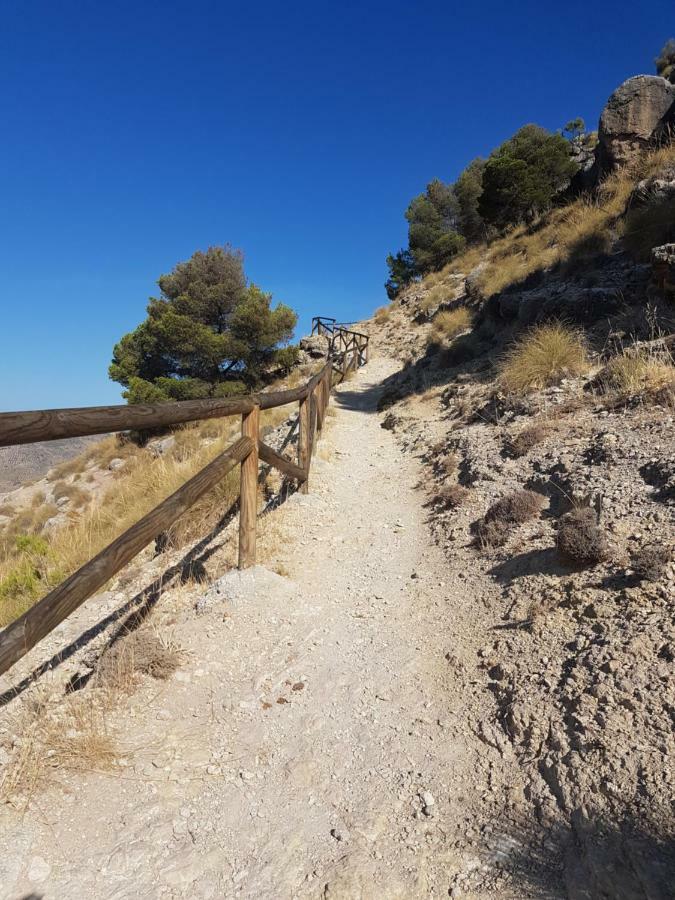Apartamentos Rurales La Dehesa Del Acebuche Jaén Eksteriør bilde