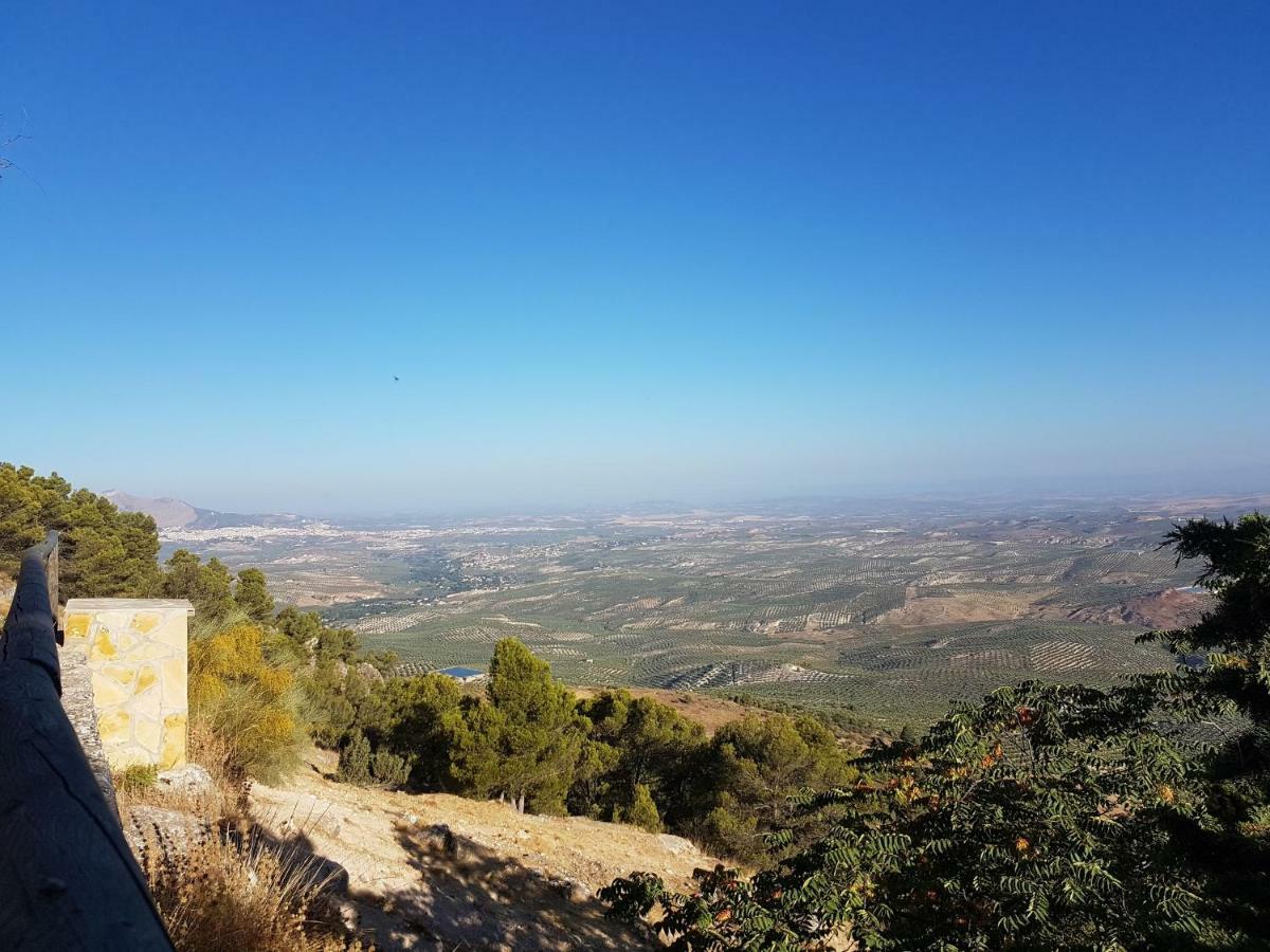 Apartamentos Rurales La Dehesa Del Acebuche Jaén Eksteriør bilde