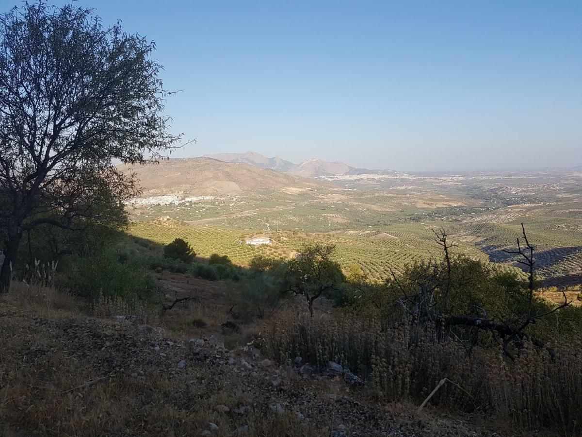 Apartamentos Rurales La Dehesa Del Acebuche Jaén Eksteriør bilde